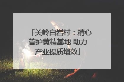 关岭白岩村：精心管护黄精基地 助力产业提质增效