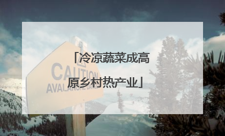 冷凉蔬菜成高原乡村热产业