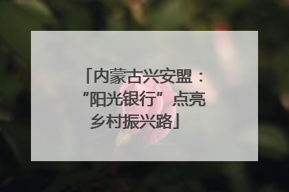 内蒙古兴安盟：“阳光银行”点亮乡村振兴路