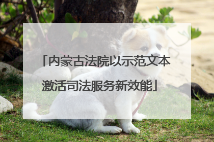 内蒙古法院以示范文本激活司法服务新效能