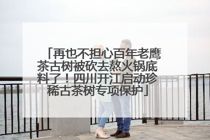 再也不担心百年老鹰茶古树被砍去熬火锅底料了！四川开江启动珍稀古茶树专项保护