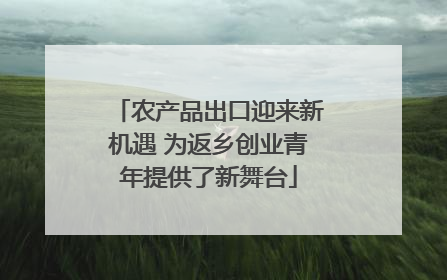 农产品出口迎来新机遇 为返乡创业青年提供了新舞台