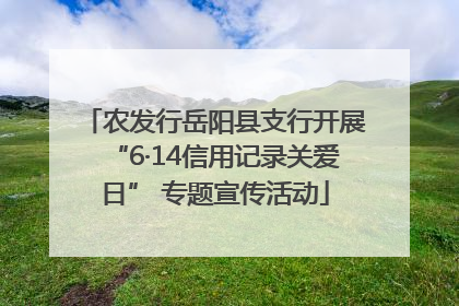 农发行岳阳县支行开展“6·14信用记录关爱日” 专题宣传活动