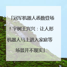 冠军机器人悉数登场！宇树王兴兴：让人形机器人马上进入家庭等场景并不现实