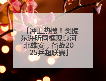 冲上热搜！樊振东许昕同框现身河北雄安，备战2025乒超联赛