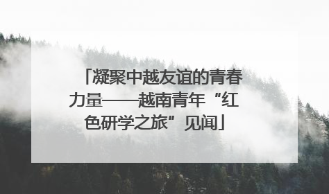 凝聚中越友谊的青春力量——越南青年“红色研学之旅”见闻