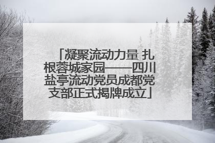 凝聚流动力量 扎根蓉城家园——四川盐亭流动党员成都党支部正式揭牌成立