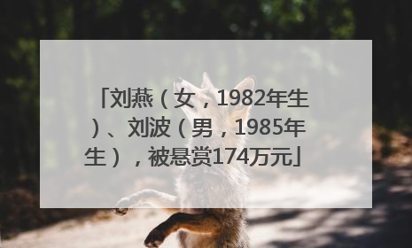 刘燕（女，1982年生）、刘波（男，1985年生），被悬赏174万元