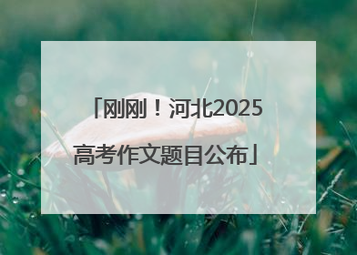 刚刚！河北2025高考作文题目公布