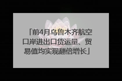 前4月乌鲁木齐航空口岸进出口货运量、贸易值均实现翻倍增长