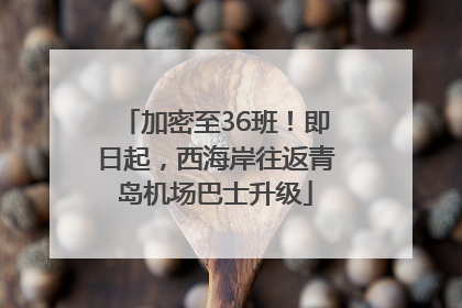 加密至36班！即日起，西海岸往返青岛机场巴士升级