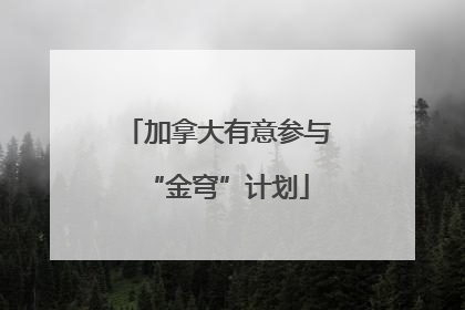 加拿大有意参与“金穹”计划