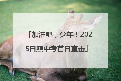 加油吧，少年！2025日照中考首日直击