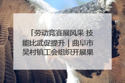 劳动竞赛展风采 技能比武促提升｜曲阜市吴村镇工会组织开展果树套袋技能竞赛
