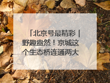北京号最精彩｜野趣盎然！京城这个生态桥连通两大网红公园
