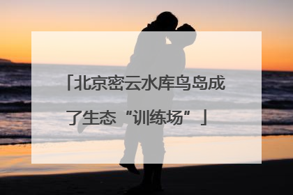 北京密云水库鸟岛成了生态“训练场”