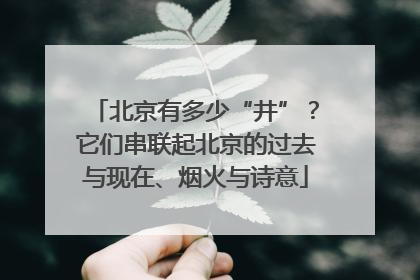 北京有多少“井”？它们串联起北京的过去与现在、烟火与诗意
