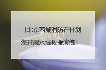 北京西城消防在什刹海开展水域救援演练