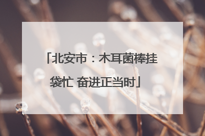 北安市：木耳菌棒挂袋忙 奋进正当时