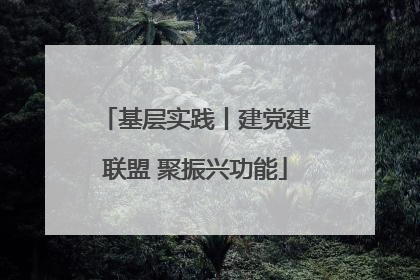 基层实践丨建党建联盟 聚振兴功能
