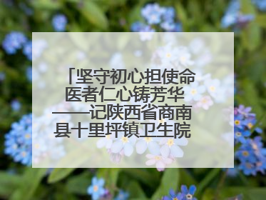 坚守初心担使命 医者仁心铸芳华——记陕西省商南县十里坪镇卫生院副院长贾胡委