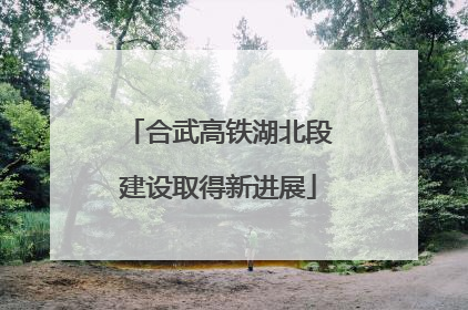 合武高铁湖北段建设取得新进展