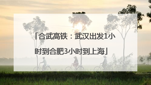 合武高铁：武汉出发1小时到合肥3小时到上海