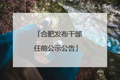 合肥发布干部任前公示公告