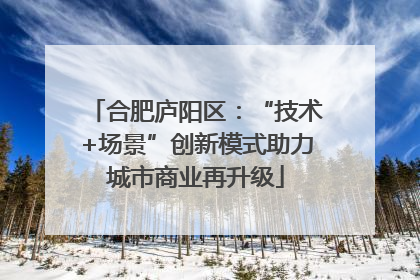 合肥庐阳区：“技术+场景”创新模式助力城市商业再升级
