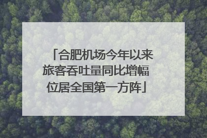 合肥机场今年以来旅客吞吐量同比增幅位居全国第一方阵