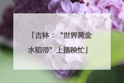 吉林：“世界黄金水稻带”上插秧忙