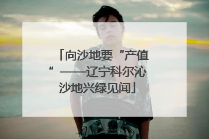 向沙地要“产值”——辽宁科尔沁沙地兴绿见闻