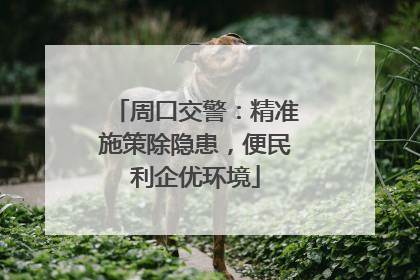 周口交警：精准施策除隐患，便民利企优环境