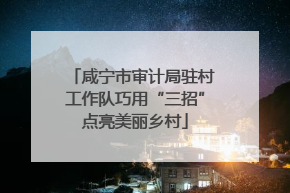 咸宁市审计局驻村工作队巧用“三招”点亮美丽乡村