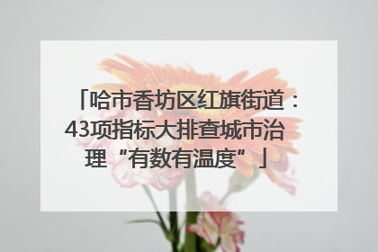哈市香坊区红旗街道：43项指标大排查城市治理“有数有温度”