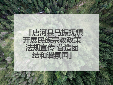唐河县马振抚镇开展民族宗教政策法规宣传 营造团结和谐氛围