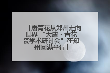 唐青花从郑州走向世界 “大唐・青花瓷学术研讨会”在郑州圆满举行