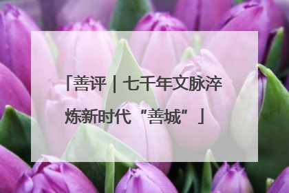 善评｜七千年文脉淬炼新时代“善城”
