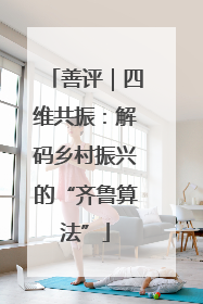 善评｜四维共振：解码乡村振兴的“齐鲁算法”