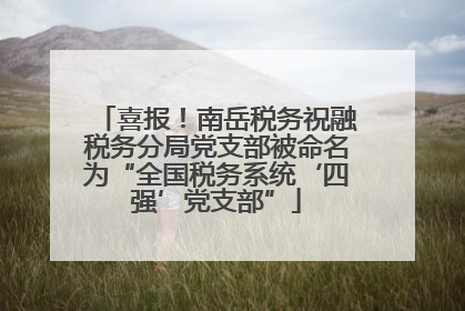 喜报！南岳税务祝融税务分局党支部被命名为“全国税务系统‘四强’党支部”