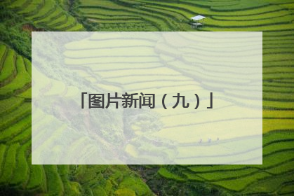 图片新闻（九）