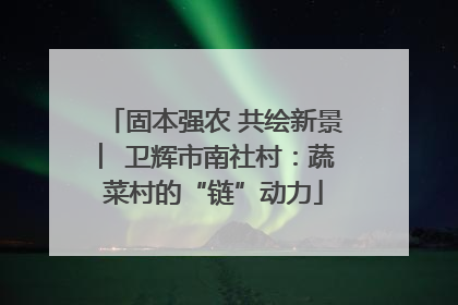 固本强农 共绘新景 ︳卫辉市南社村：蔬菜村的“链”动力