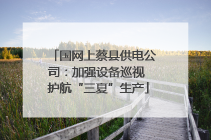 国网上蔡县供电公司：加强设备巡视 护航“三夏”生产