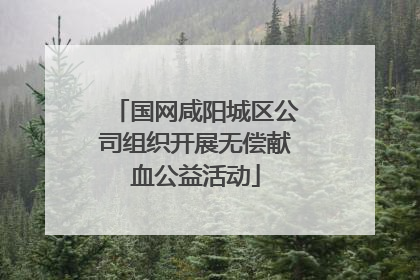 国网咸阳城区公司组织开展无偿献血公益活动