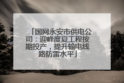 国网永安市供电公司：迎峰度夏工程按期投产，提升输电线路防雷水平
