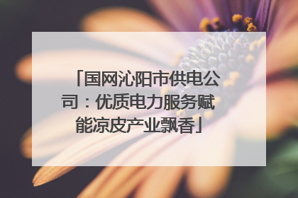 国网沁阳市供电公司：优质电力服务赋能凉皮产业飘香