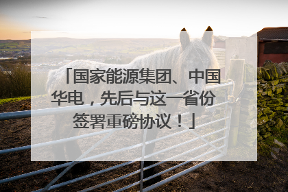 国家能源集团、中国华电，先后与这一省份签署重磅协议！