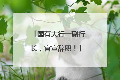 国有大行一副行长，官宣辞职！