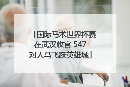 国际马术世界杯赛在武汉收官 547对人马飞跃英雄城