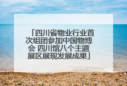 四川省物业行业首次组团参加中国物博会 四川馆八个主题展区展现发展成果